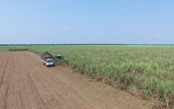 TTC Sugar ký kết hợp tác với nhóm nhà đầu tư Hàn Quốc thông qua việc phát hành gói trái phiếu chuyển đổi đợt đầu 1.200 tỷ đồng