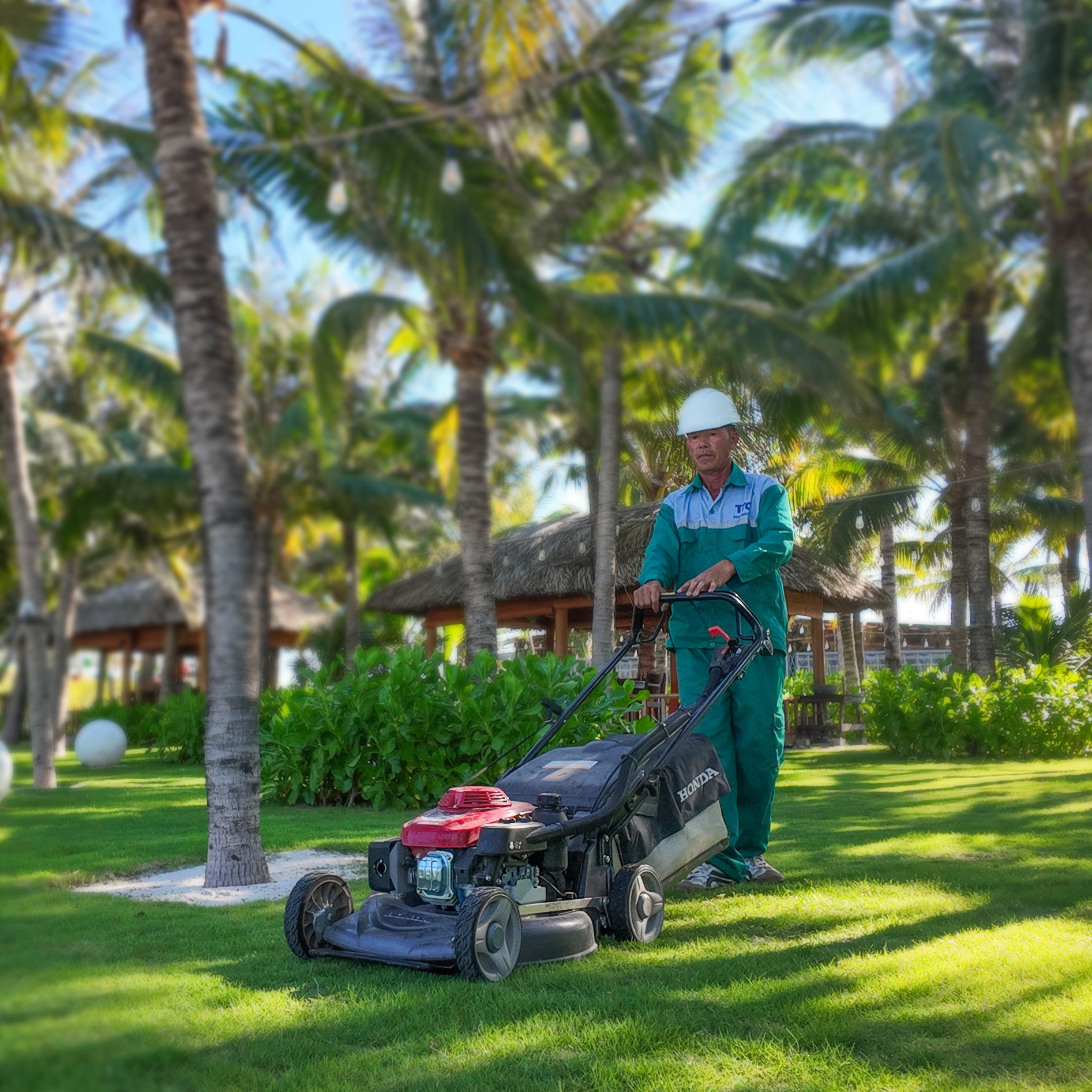 Selavia – Biểu tượng của sự xanh – sạch – đẹp trên đảo ngọc